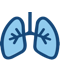 An icon for lungs